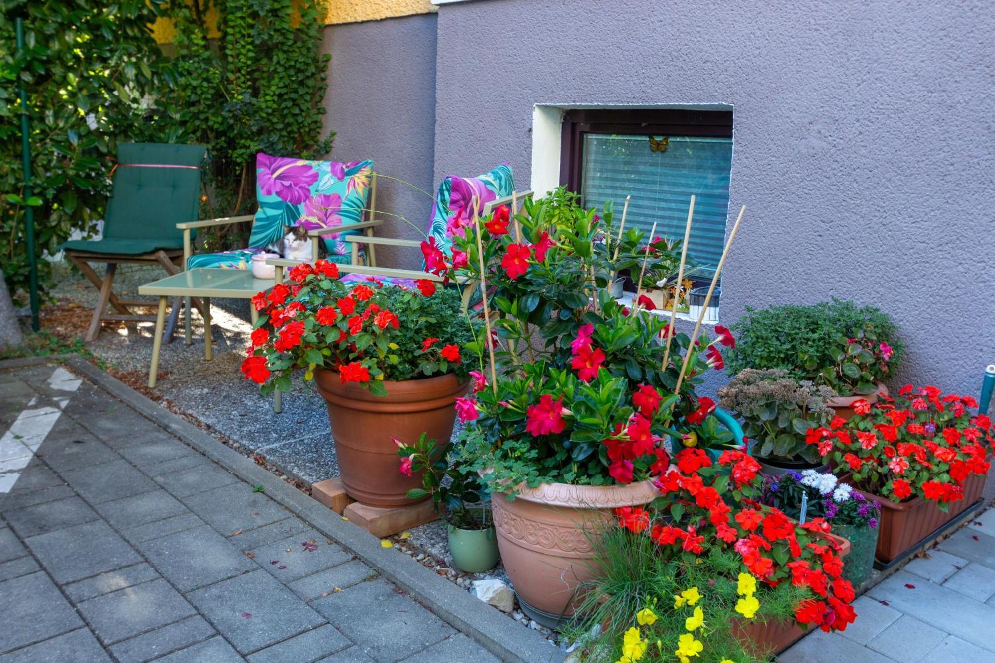 Benjamins Refugium Salzburgo Exterior foto